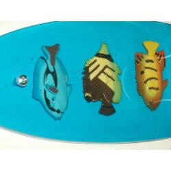 Toilettenbürste aus Acryl – Transparente...