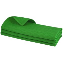 3x Geschirrtuch Grün – 100 % Baumwolle,...