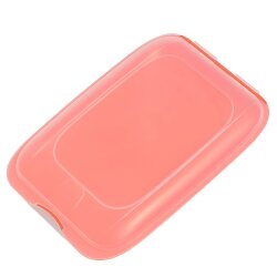 ENGELLAND 4er Set Aufschnittbox in Lachs – BPA-frei, praktisch & stapelbar, ideal für Wurst und Käse