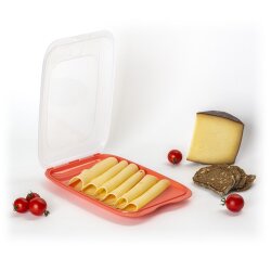 ENGELLAND 4er Set Aufschnittbox in Lachs – BPA-frei, praktisch & stapelbar, ideal für Wurst und Käse