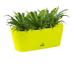 Ovaler Blumenkasten Grün mit Wasserauffangschale...