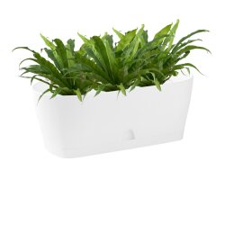 Ovaler Blumenkasten Weiß mit Wasserauffangschale...