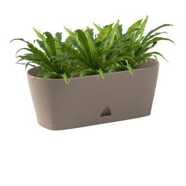 Ovaler Blumenkasten Braun mit Wasserauffangschale für Balkon, Garten & Tischdeko