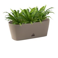 Ovaler Blumenkasten Braun mit Wasserauffangschale...