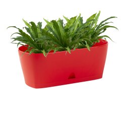 Ovaler Blumenkasten Rot mit Wasserauffangschale für...