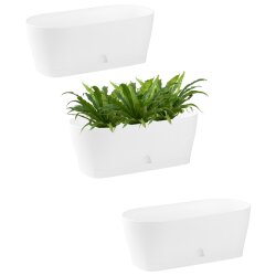 3x Ovaler Blumenkasten Weiß mit Wasserauffangschale...