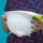 3x Farbiges Abtropfsieb Haushaltssieb Nudelsieb Gemüse Seiher Küchensieb BPA-frei Kunststoff Durchmesser 24,5 cm Spülmaschinen geeignet