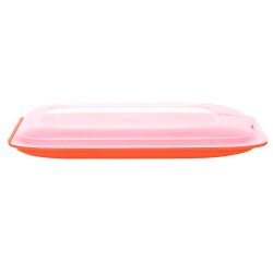 ENGELLAND Aufschnittbox Orange 25 x 17 x 3,3 cm – stapelbare Frischhaltedose BPA-frei, mikrowellen- & gefriergeeignet