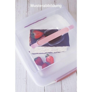 10 Transparente Kuchenbehälter Mit Deckel & Bodenplatte – 18,5x18,5x9,5 Cm, Für Transport & Präsentation