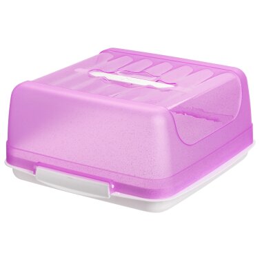 Eckige Transport Kuchenbox aus BPA freiem Kunststoff mit Tragegriff & Klickverschluss – Maße ca. 26,5 × 27,5 × 12,5 cm