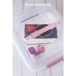 2er Set eckige Transport-Kuchenboxen BPA-frei mit Tragegriff & Klickverschluss für Kuchen