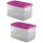ENGELLAND 2x 2,2 L Frischhaltedosen Rosa, stapelbar, luftdicht, BPA-frei & lebensmittelecht