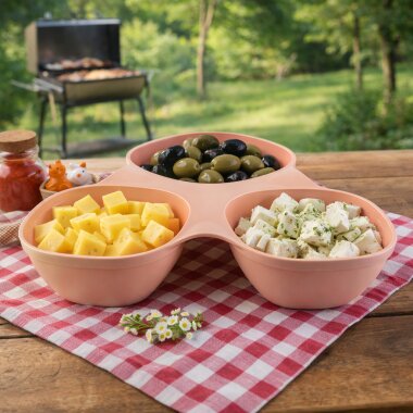 Snackschale Lachs – BPA-frei, stapelbar, ideal für Snacks, 4,99 €