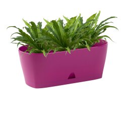 Ovaler Blumenkasten Lila mit Wasserauffangschale für...