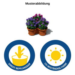 Blumentopf S&auml;ulentopf Pflanzturm Hochbeet mit Untersetzer stapelbar Kunststoff Wei&szlig;