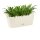 Blumenkasten beige mit Untersetzer – wetterfester Pflanztopf für Balkon, Terrasse & Tischdeko, ideal für Blumen, Kräuter & Pflanzen, 5,12 €