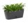 Blumenkasten Anthrazit mit Untersetzer – wetterfester Pflanztopf für Balkon, Terrasse & Tischdeko, ideal für Blumen, Kräuter & Pflanzen