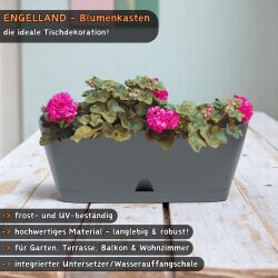 2er Set Blumenkästen 30 cm Mokka-Braun mit...