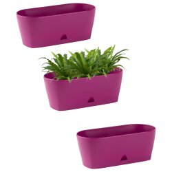3er-Set Blumenkästen 30 cm Lila – Balkonkasten...