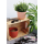 6x anthrazit Engelland moderner Blumentopf mit Drainagesystem Pflanztopf-Kübel widerstandsfähig rund wetterfest Kunststoff Ø 10 cm