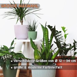 6er-Set Blumentöpfe Flieder Ø 15 cm mit Drainagesystem wetterfest Kunststoff