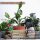 Engelland 2er-Set Blumentopf Ø 21 cm Moosgrün mit Drainagesystem
