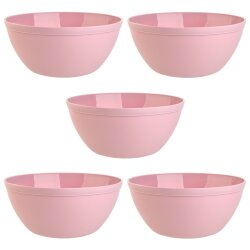 ENGELLAND 5er Müslischalen-Set Rosa 900 ml,...