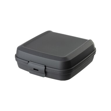ENGELLAND Lunchbox Anthrazit – BPA-frei, 0,6 l, 14 x 14 x 5 cm, Klickverschluss, mikrowellen- und spülmaschinengeeignet, wiederverwendbar, ideal für Schule & Büro