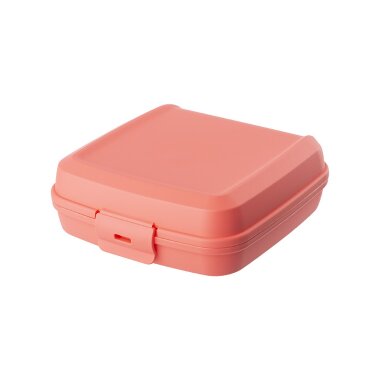 ENGELLAND Lunchbox Lachs – BPA-frei, 0,6 l, 14 x 14 x 5 cm, Klickverschluss, mikrowellen- und spülmaschinengeeignet, wiederverwendbar, ideal für Schule & Büro