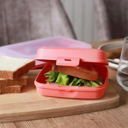 2x Lunchbox Vesperdose Brotdose Plastikdose für Kinder BPA-frei anthrazit