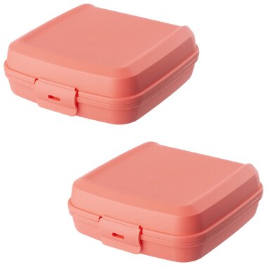 ENGELLAND Lunchbox 2er Set Lachs – BPA-frei, 0,6 l, 14×14×5 cm, Klickverschluss, mikrowellen- & spülmaschinengeeignet, wiederverwendbar