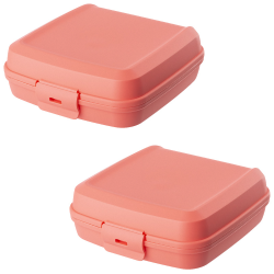 2x Lunchbox Vesperdose Brotdose Plastikdose für Kinder BPA-frei lachs