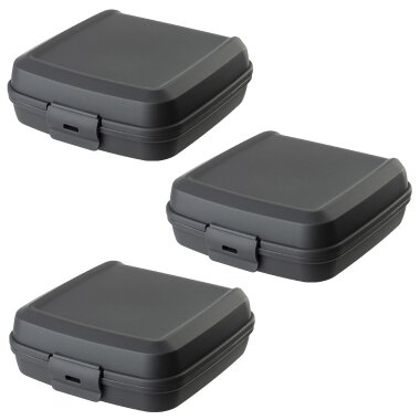 ENGELLAND Lunchbox 3er Set Anthrazit – BPA-frei, 0,6 l, 14×14×5 cm, mikrowellen- & spülmaschinengeeignet, wiederverwendbar