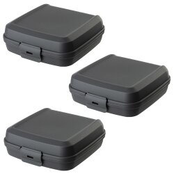 ENGELLAND Lunchbox 3er Set Anthrazit – BPA-frei,...
