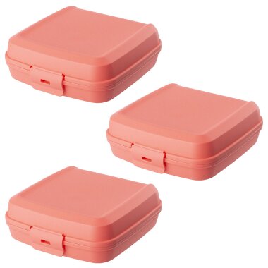 ENGELLAND Lunchbox 3er Set Lachs – BPA-frei, 0,6 l, 14×14×5 cm, mikrowellen- & spülmaschinengeeignet, wiederverwendbar