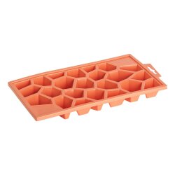 ENGELLAND Eiswürfelform Lachs 14x14x5 cm –...
