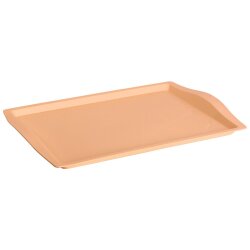 Engelland Serviertablett 46,5×33 cm –...