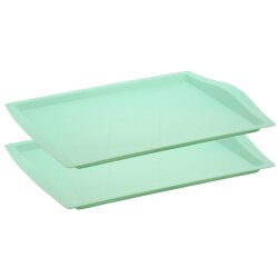 Engelland 2er-Set Serviertabletts 46,5×33 cm...