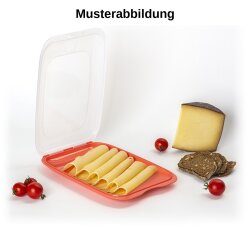 ENGELLAND Aufschnitt Box Anthrazit 4er Set – BPA-frei, stapelbar, spülmaschinen- und mikrowellengeeignet, 25×17×3,3 cm