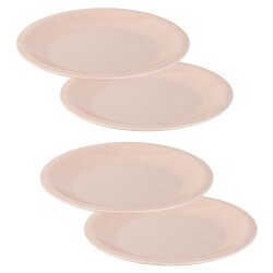 Flache Kunststoffteller BPA-frei – Picknick &...