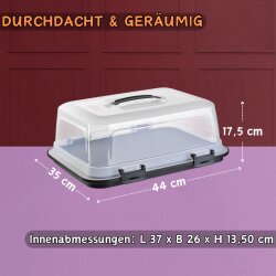 ENGELLAND Rechteckige Kuchen-Transportbox 44x35x17,5 cm Beige Transparent – mit Griff, 4-fach Klickverschluss, Stückeinteilung, BPA-frei