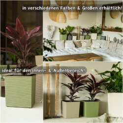 ENGELLAND Pflanzkübel WPC Quadratisch Anthrazit, UV- & frostfest, Rillenoptik mit Einsatz