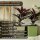 ENGELLAND Pflanzkübel WPC Quadratisch Anthrazit, UV- & frostfest, Rillenoptik mit Einsatz