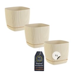 3er-Set ENGELLAND Blumentöpfe 12×12 cm Beige...