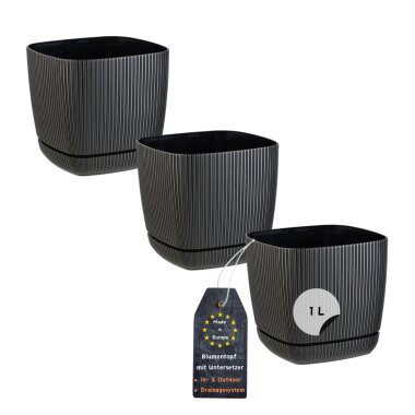ENGELLAND 3er Set Blumentöpfe quadratisch 12×12 cm mit Drainage & Untersetzer