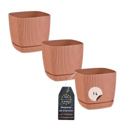 Engelland 3er-Set Blumentöpfe 12×12 cm...