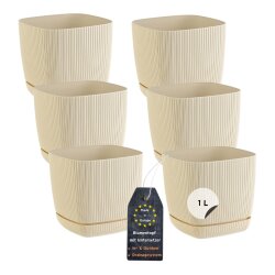 Engelland 6er-Set Blumentöpfe 12×12 cm Beige...