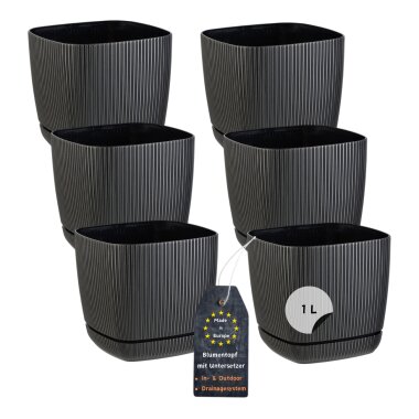 6er-Set ENGELLAND Blumentöpfe 12×12 cm Schwarz – quadratisch mit Drainagesystem & Untersetzer