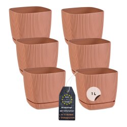 Engelland 6er-Set Blumentöpfe 12×12 cm...