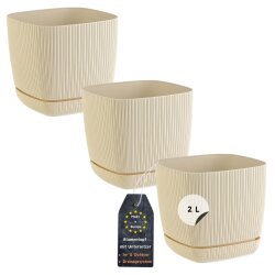 3er-Set ENGELLAND Pflanztöpfe 15×15 cm Beige...